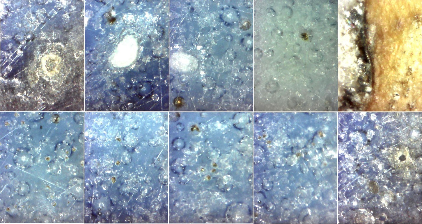 A pair Dragon Vase, Yuan Dynasty